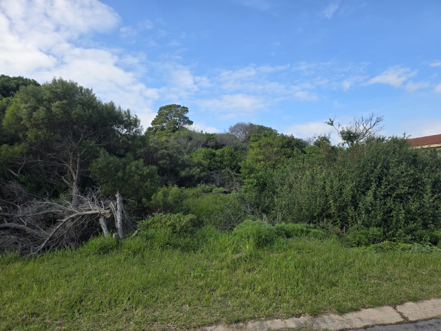 0 Bedroom Property for Sale in Paradise Beach Eastern Cape